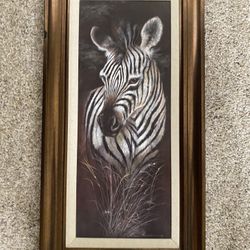 Zebra Picture