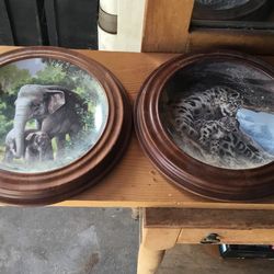 Collectible Animal Plates