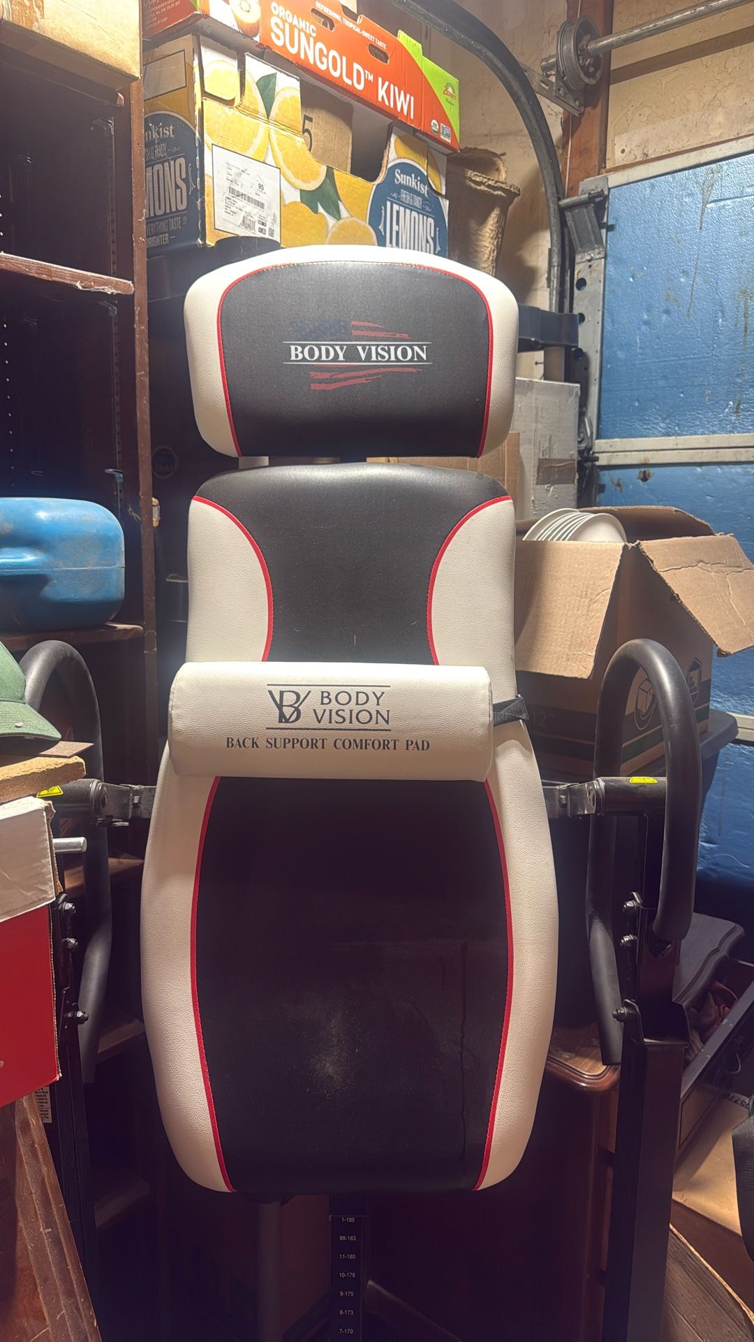 Body Vision Inversion Table