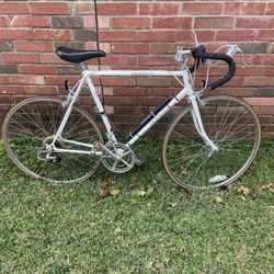 Vintage SCHWINN WORLD Road Bike 