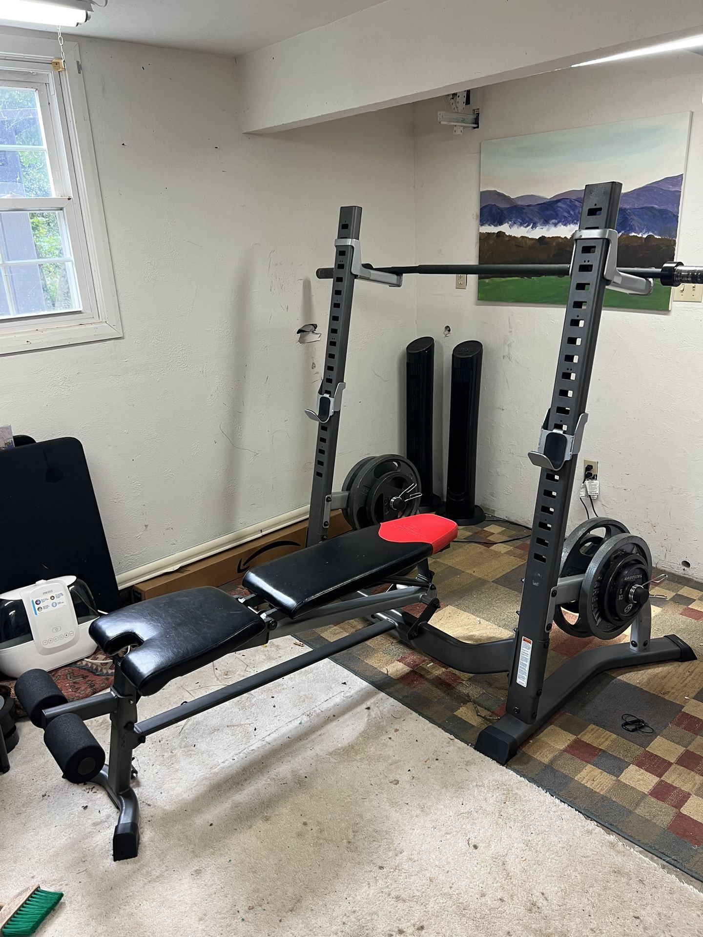 Bowflex Rack and weights