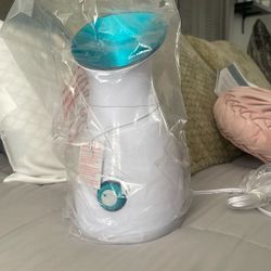 Face Steamer