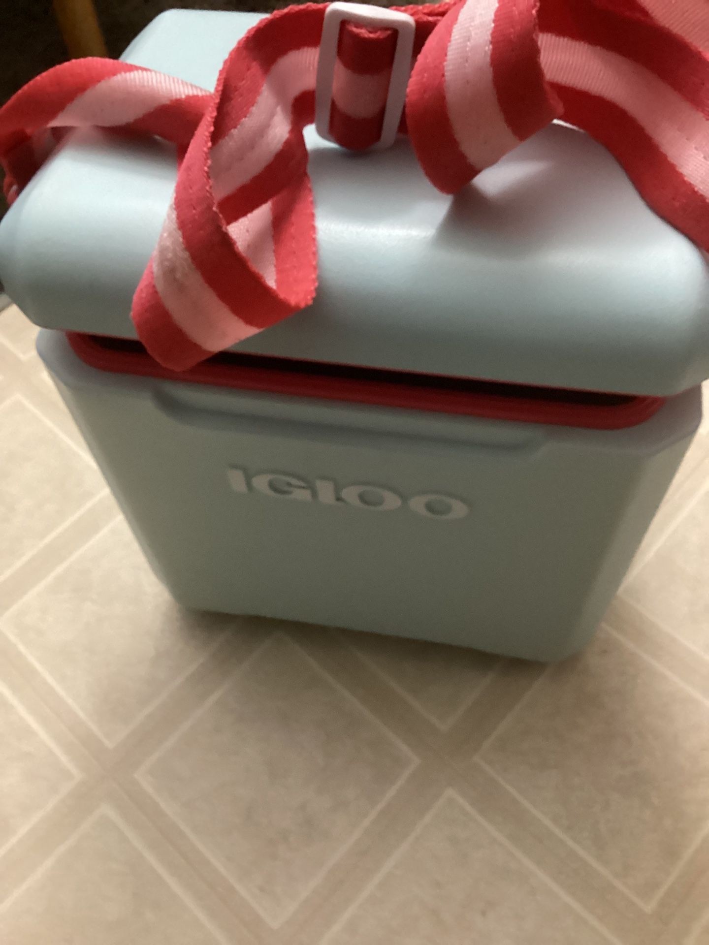 Cooler IGLOO