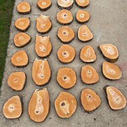 Cedar Elm Wood Live Edge Slice Cookie Wedding Table Centerpiece