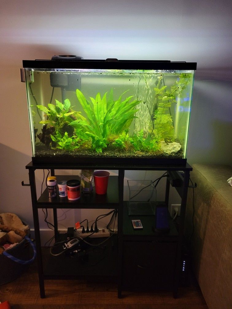 20 GALLON TANK & STAND! EVERYTHING INCLUDED!