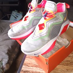 LeBron James Nike Shoes 