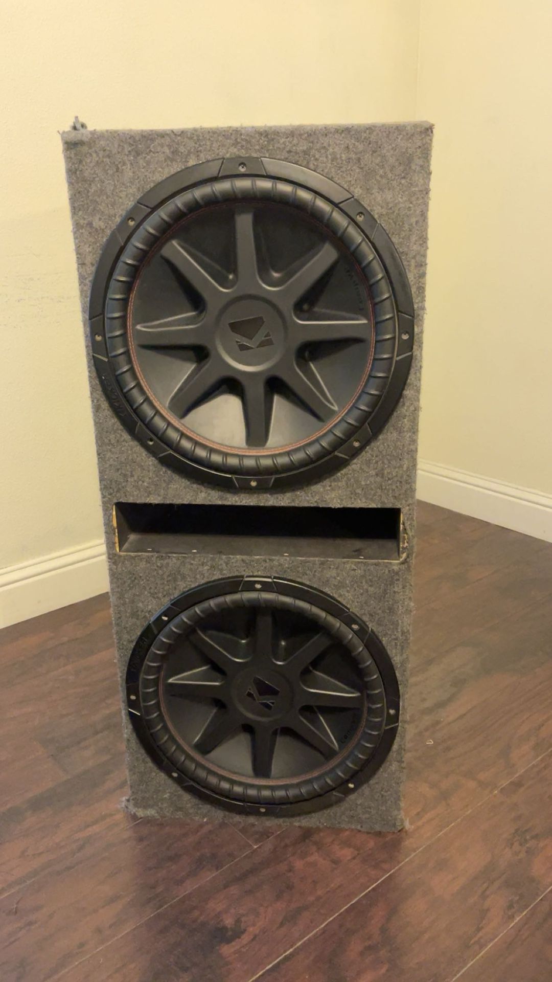 2 15s Subwoofers Sound System