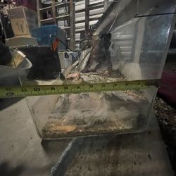 Terrarium Tank Amazing 