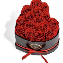 16 Preserved Roses in Heart-Shaped Box, Flowers for Delivery Prime Last up 2 Years, Real Forever Flowers for Wife, Girlfriend, Mother, Eternal Roses f