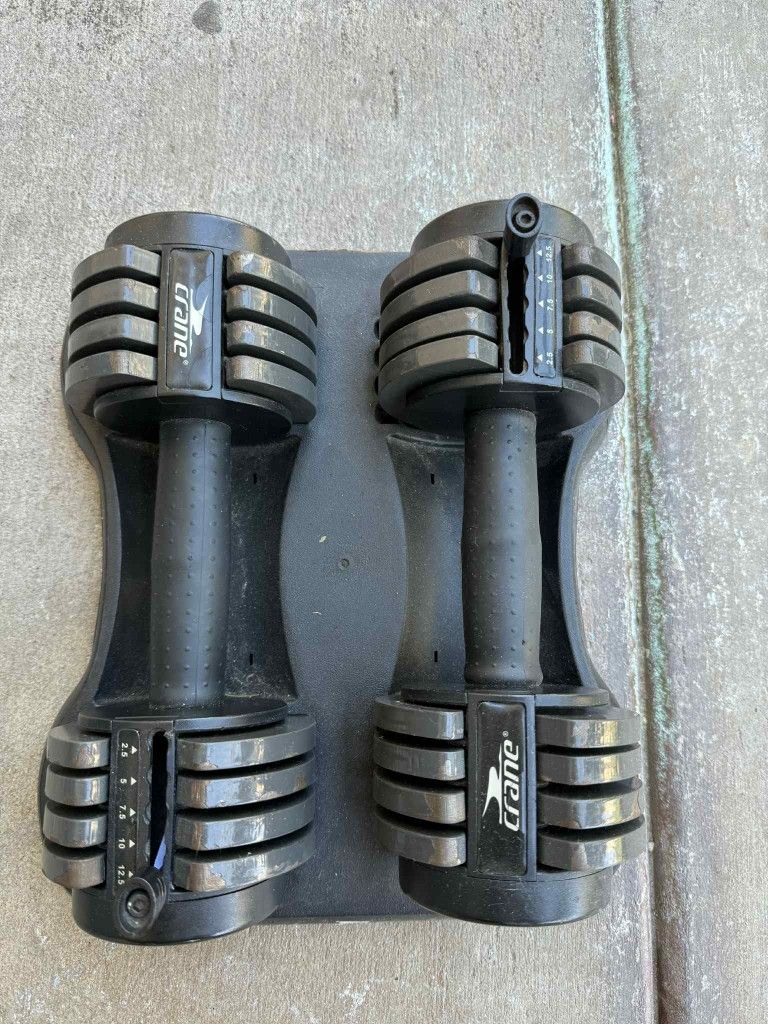 Adjustable Dumbbells- 12.5 Pounds
