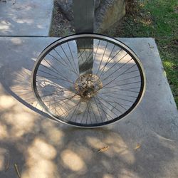 29in bike rim!