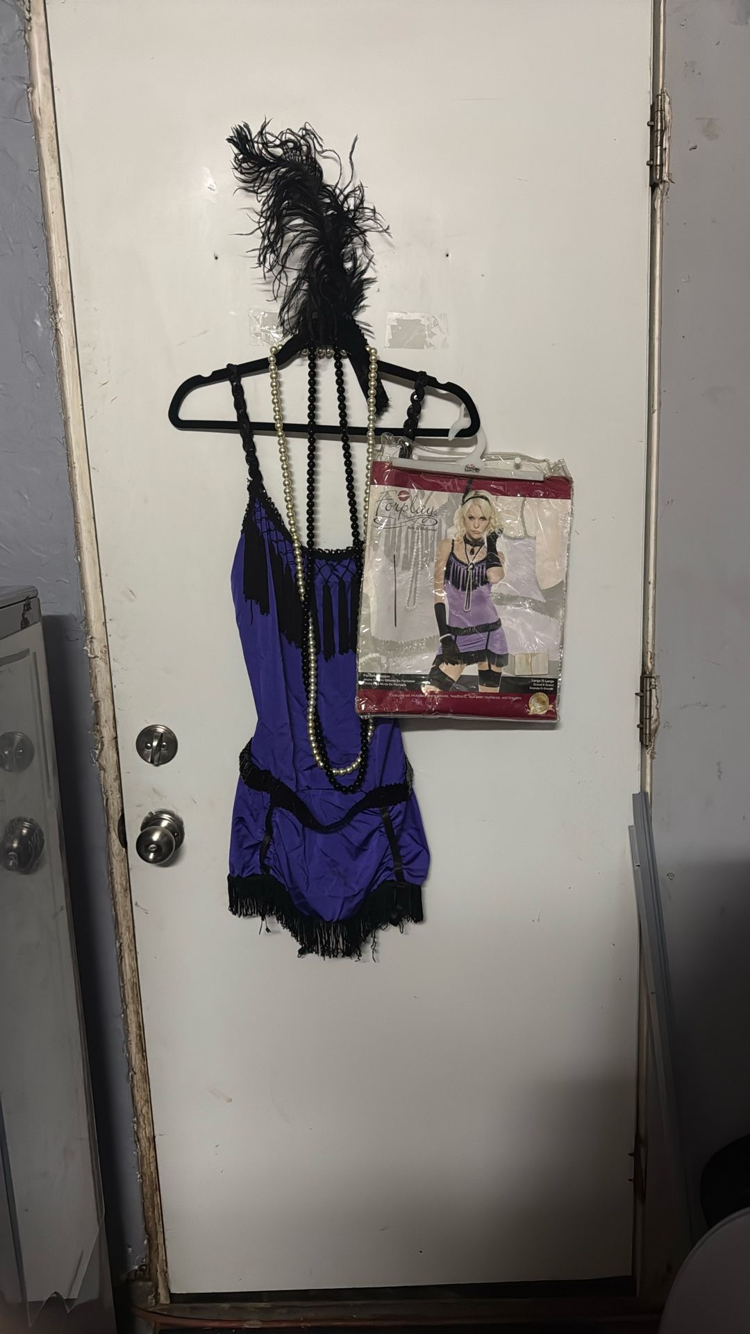 Flapper Costume
