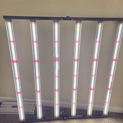 Grow Lights 4x4