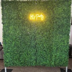Boxwood Wall For Sale 