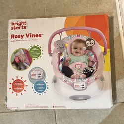 Bright Starts Rosy Vines Cradling Bouncer