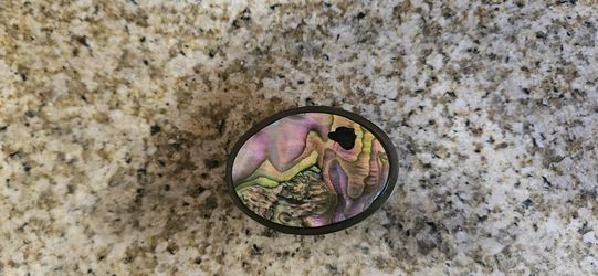 Abalone And Brass Belt Buckle