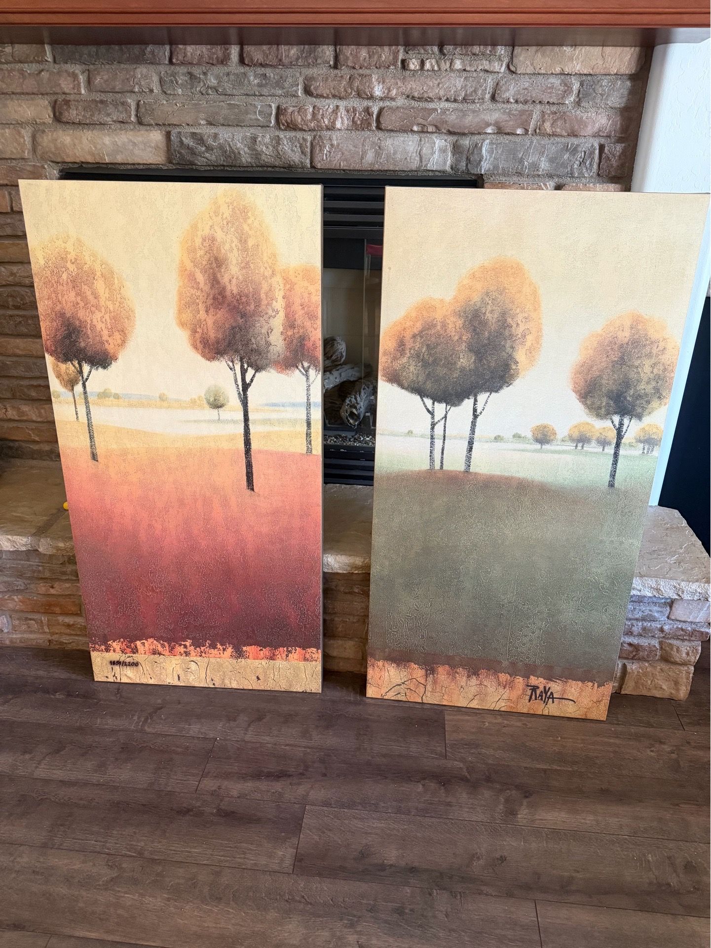 Canvas Art