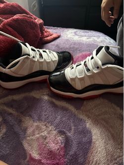 Concord Bred Jordan 11