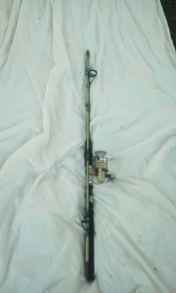 Quantum blue runner rod and reel