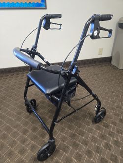 Adult Walker!