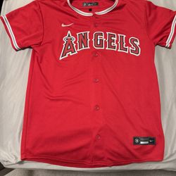Kids Size L Nike Angles Jersey $25!