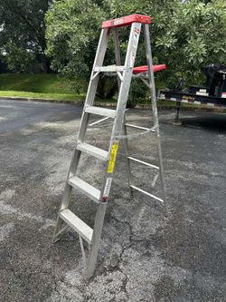 Ladder   6ft
