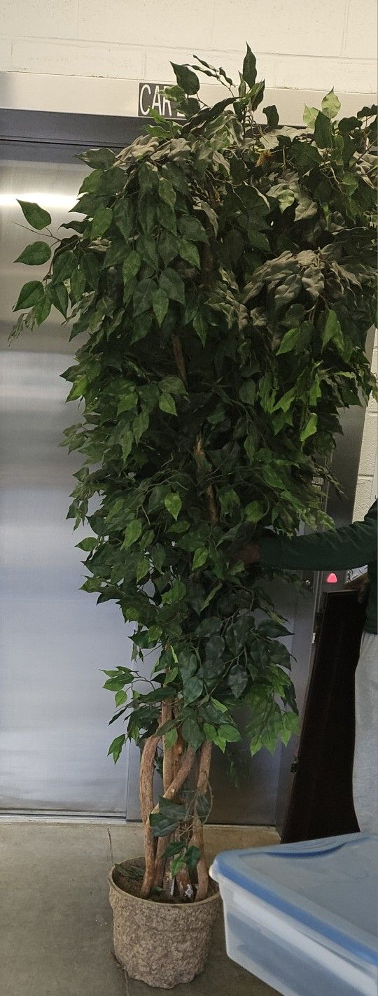 UPDATE: EVERYTHING UNDER $100  & NEGOTIABLE 