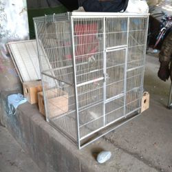 Bird Cage