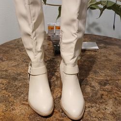 Botas y botines $40 dolares cada una