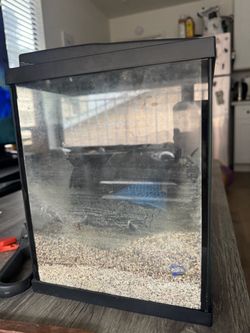 5 gallon fish tank