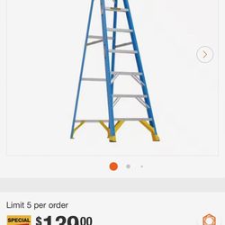 8ft Ladder