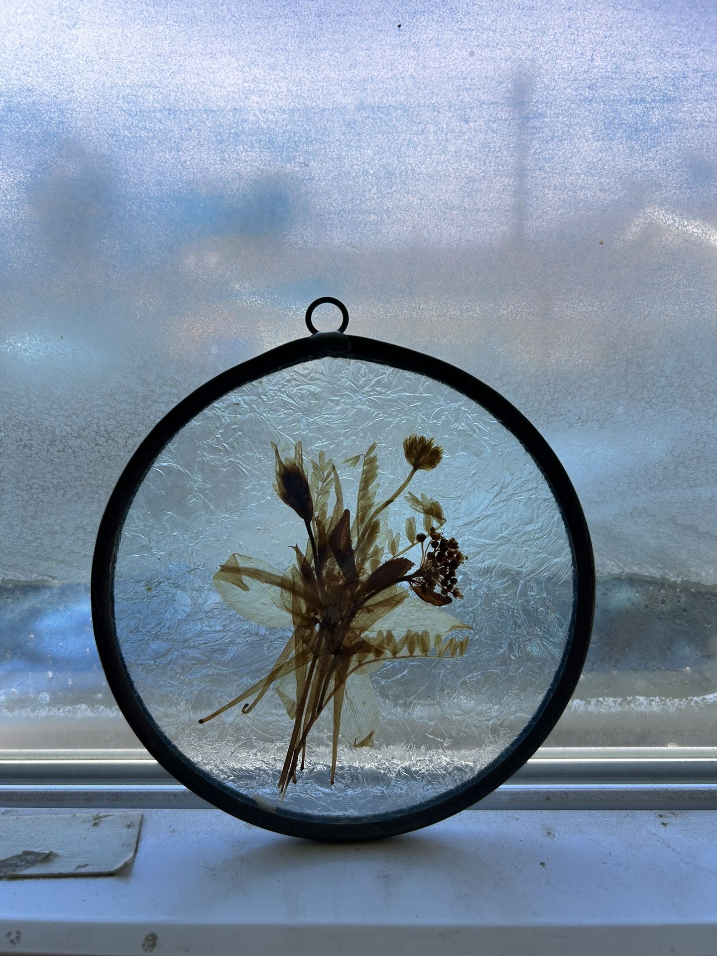 Antique Pressed Flower Glass