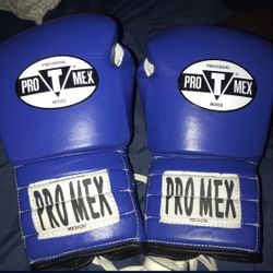 promex Boxing Gloves 
