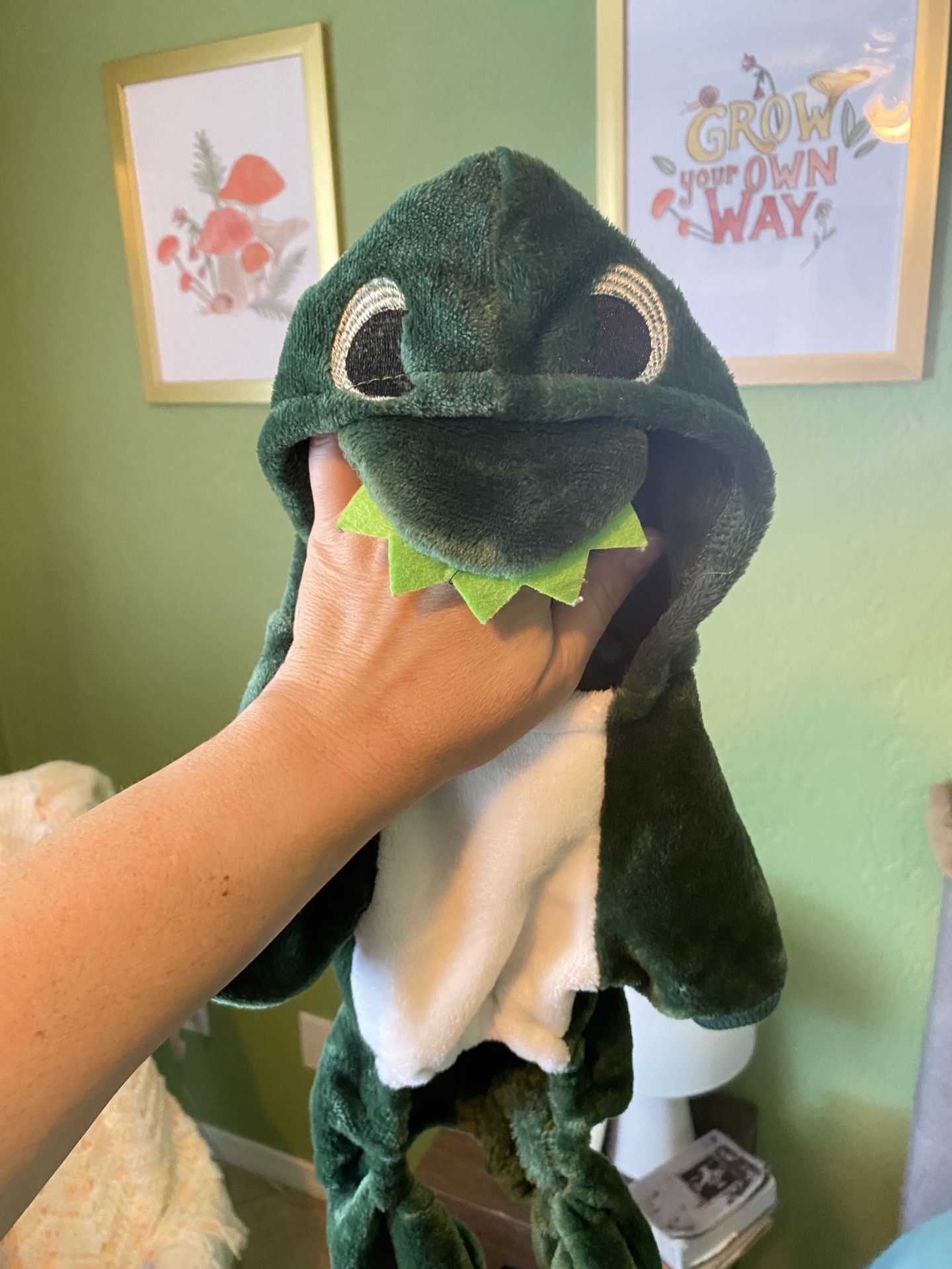 Dinosaur Costume