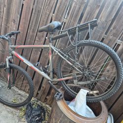 Very Good Bike Asking $30