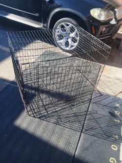 Dog Cage