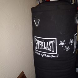 Brand New Everlast Heavy Bag,and Stand