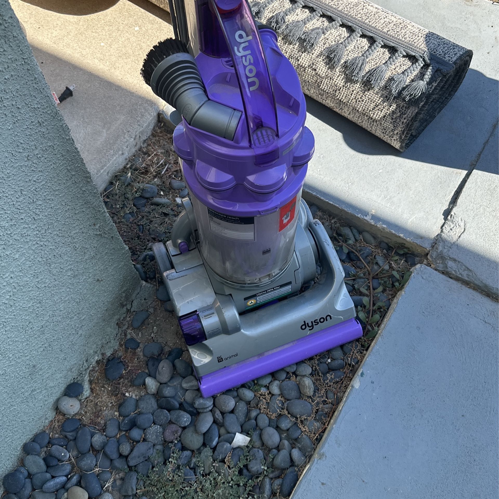 Dyson DC14 animal
