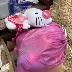 Hello kitty!