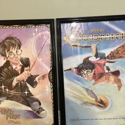 2 Harry Potter Posters In Frame
