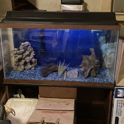 38 Gallon Aquarium With Stand 