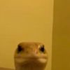 Alan