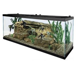 55 Gallon Fish Tank ( RETAILS 379$)!!!