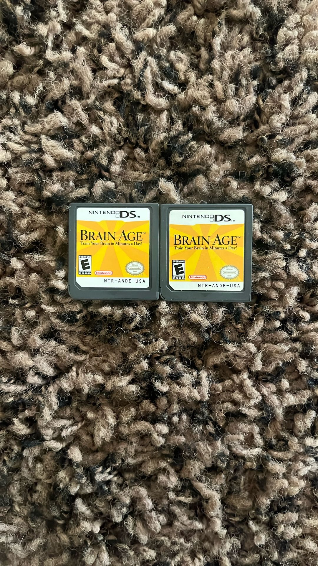 Brain Age DS (2 Loose Copies)
