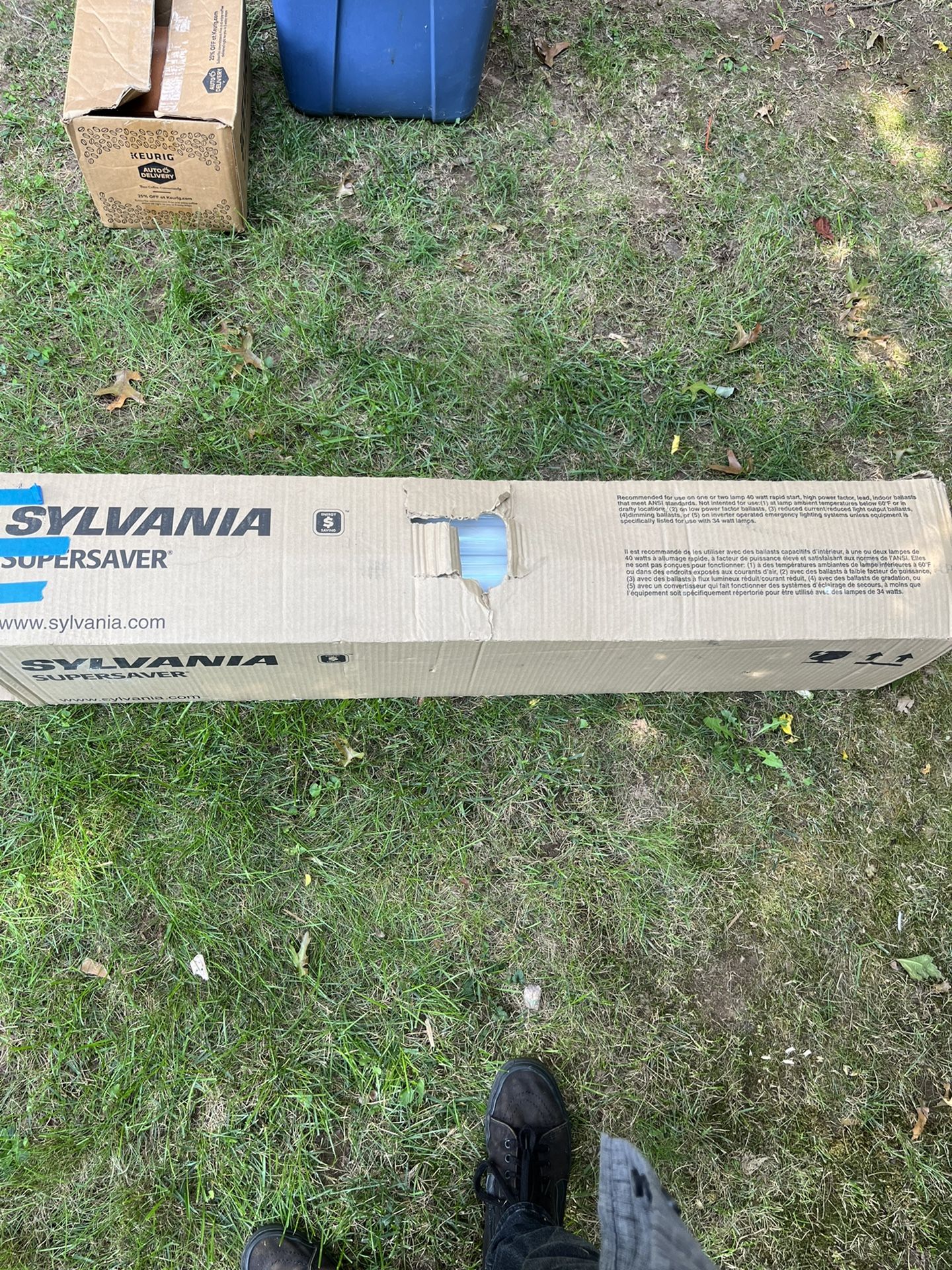 Fluorescent Bulbs