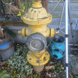 Fire Hydrant