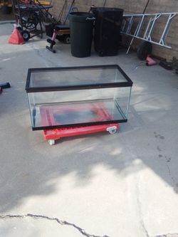 Glass aquarium
