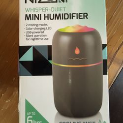 Mini Humidifier 