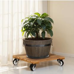 2 Heavy Duty Acacia Wood Plant Caddy With Lockable Caster