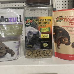 Free Tortoise Food